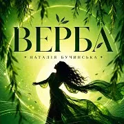 Верба